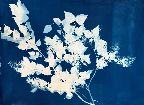 Spring Lilacs | 18" h x 24" w - Liza Pruitt
