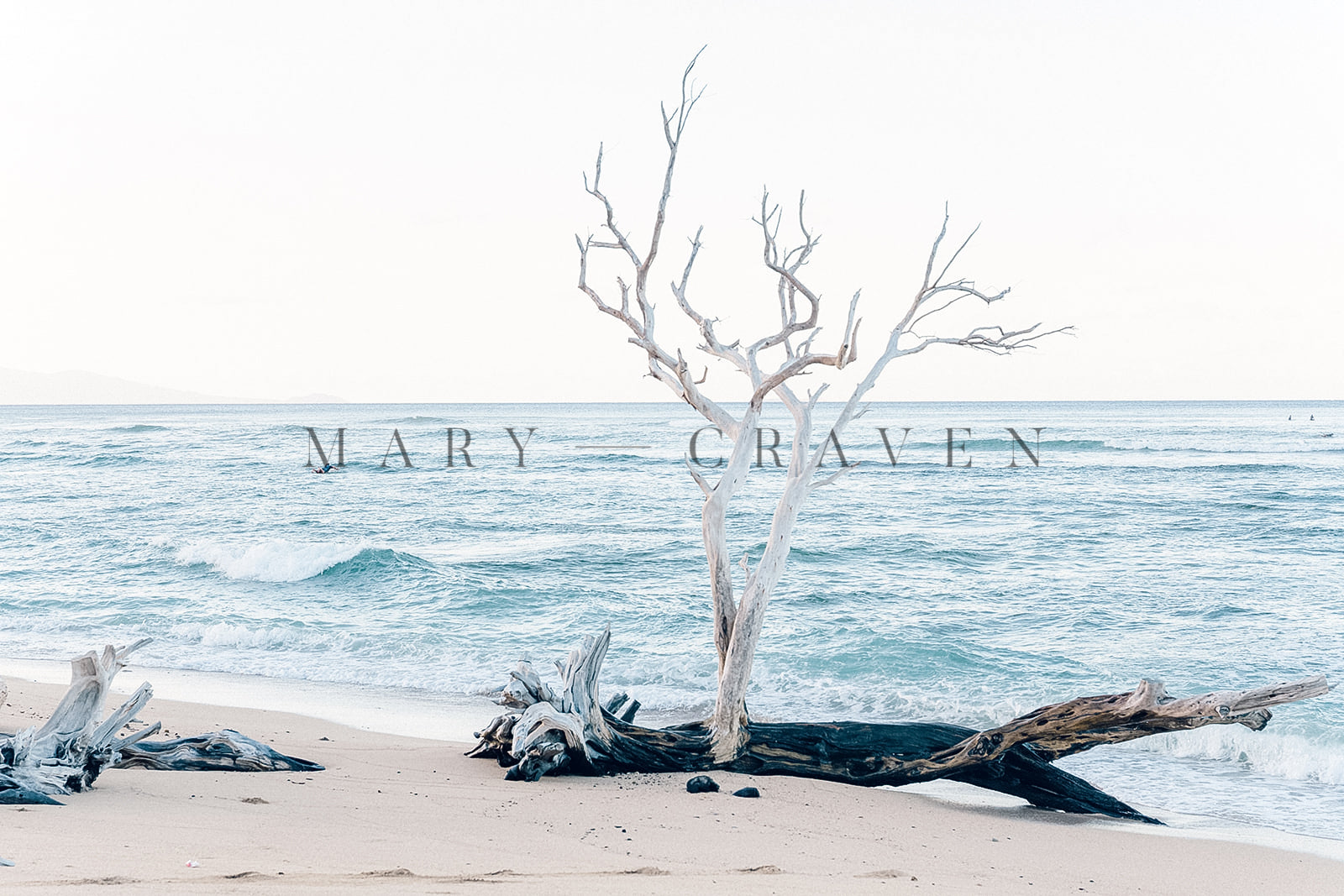 MARY CRAVEN DAWKINS | Liza Pruitt