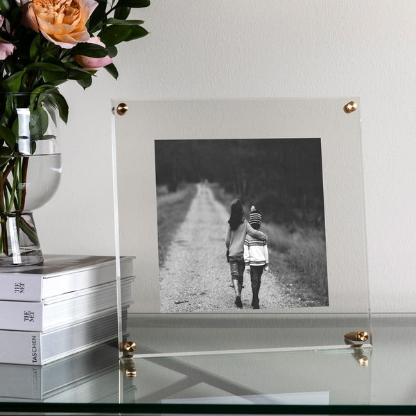 10x10" Acrylic Bevel Tabletop Float Frame - Liza Pruitt