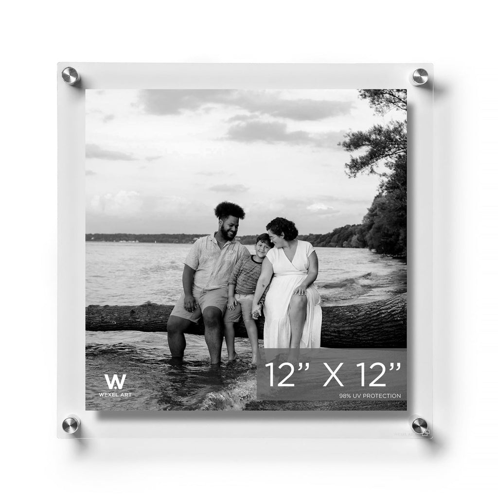 12x12" Modern UV-Grade Acrylic Floating Wall Frame - Liza Pruitt