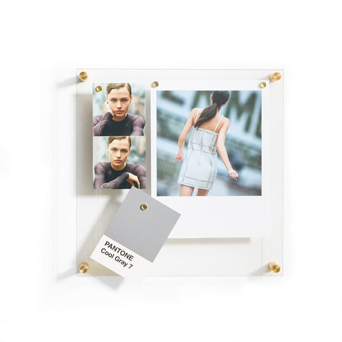 14" x 14" Easy Change Float Frame + Magnets - Liza Pruitt