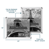 16x20" Modern UV-Grade Acrylic Floating Wall Frame - Liza Pruitt
