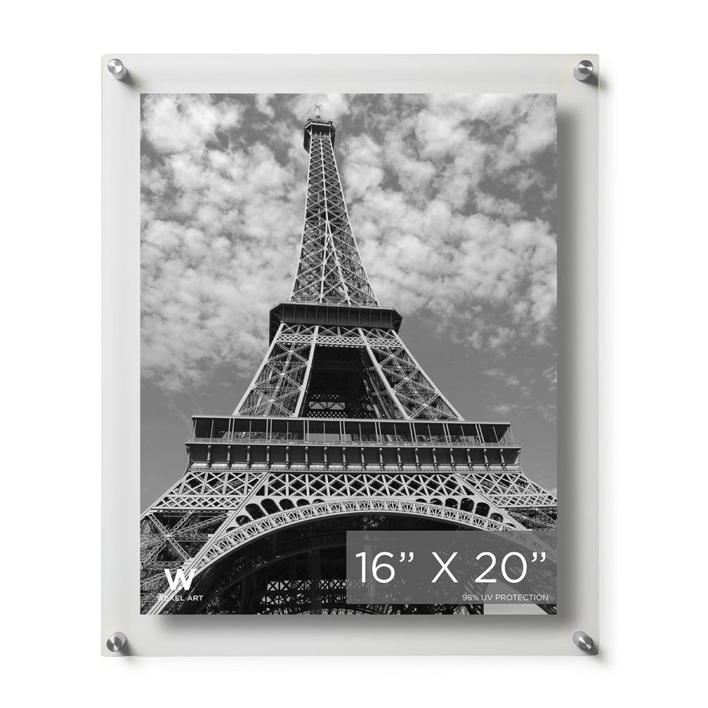 16x20" Modern UV-Grade Acrylic Floating Wall Frame - Liza Pruitt
