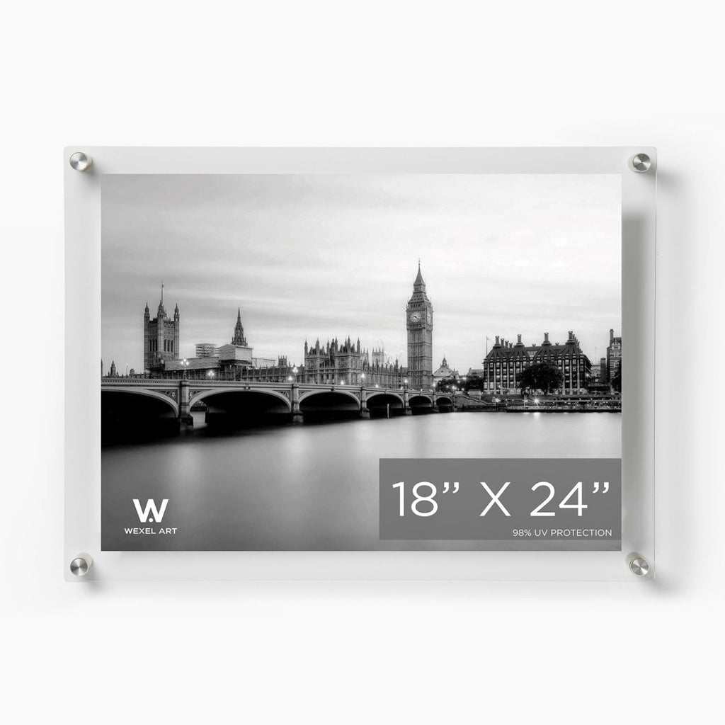 18x24" Modern UV-Grade Acrylic Floating Wall Frame - Liza Pruitt