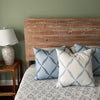 20x20" Pillow Cover - Fern Trellis, Soft Blue - Liza Pruitt