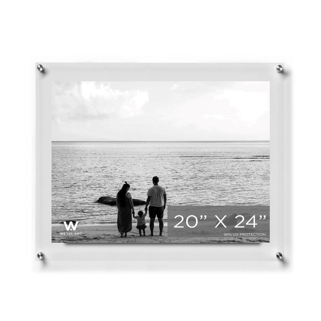 20x24" Modern UV-Grade Acrylic Floating Wall Frame - Liza Pruitt