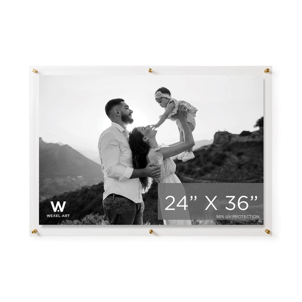 24x36" Modern UV - Grade Acrylic Floating Wall Frame - Liza Pruitt