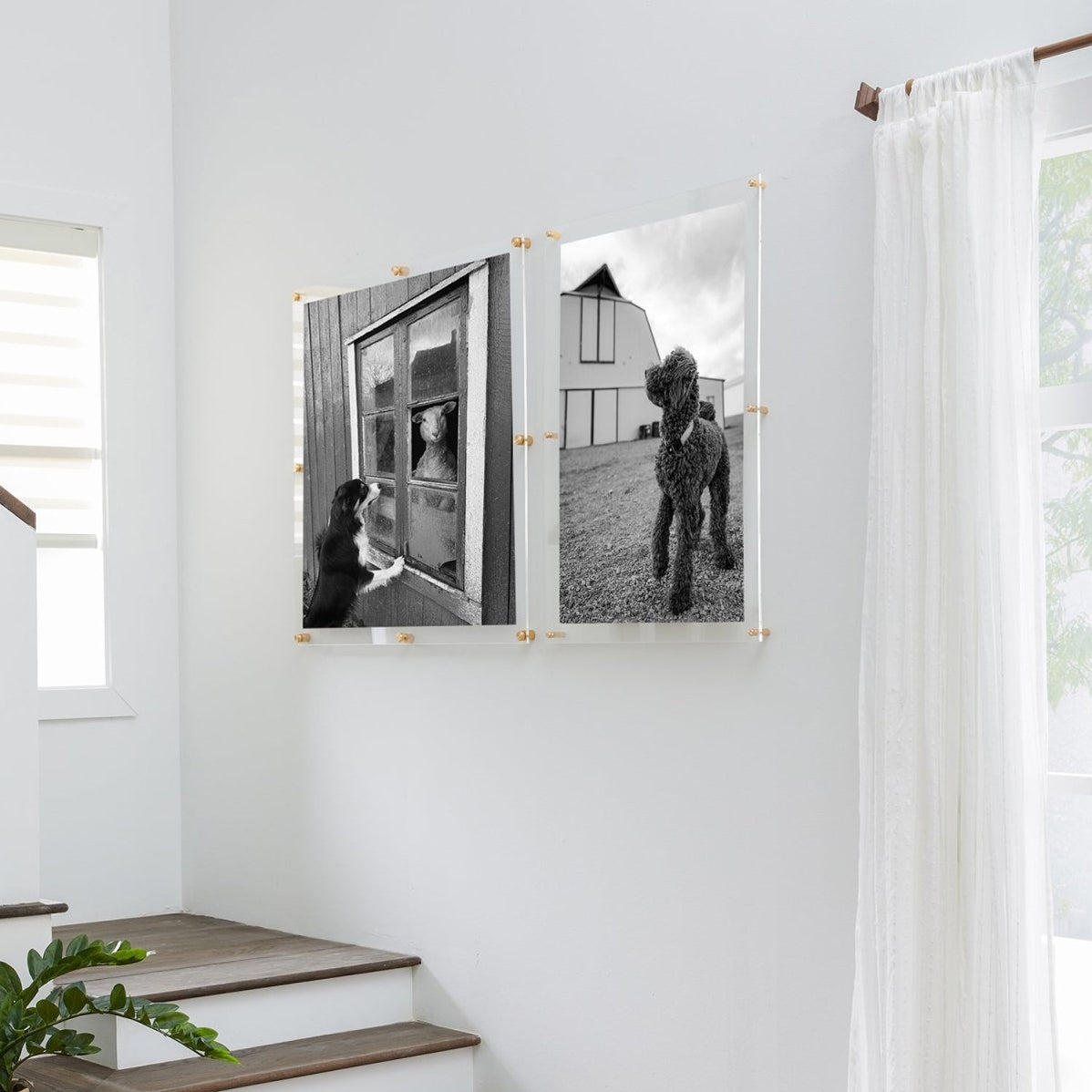 36x36" Modern UV-Grade Acrylic Floating Wall Frame– Liza Pruitt