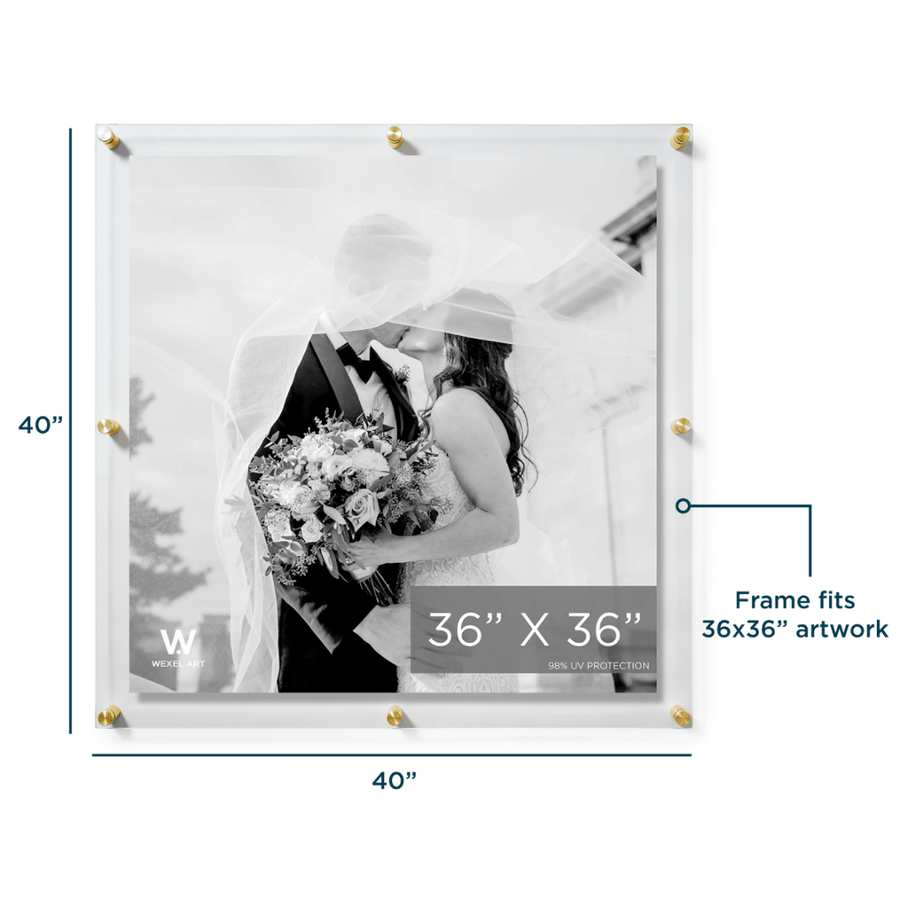 36x36" Modern UV-Grade Acrylic Floating Wall Frame - Liza Pruitt