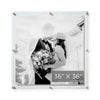 36x36" Modern UV-Grade Acrylic Floating Wall Frame - Liza Pruitt