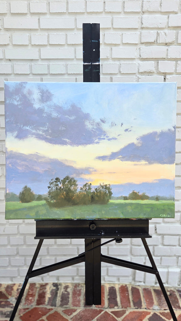Fields at Dusk | 24" h x 30" w - Liza Pruitt Art