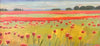 Poppies | 14" h x 30" w - Liza Pruitt Art