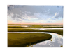 Marshland Silver Lining | 30" h x 40" w - Liza Pruitt Art