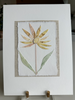 Ochre II | 12" h x 9" w - Liza Pruitt Art