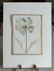 Sea Glass | 12" h x 9" w - Liza Pruitt Art