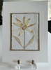 Sunny | 12" h x 9" w - Liza Pruitt Art