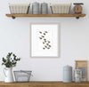 Acorns - Open Edition Paper Print - Liza Pruitt