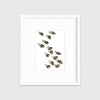 Acorns - Open Edition Paper Print - Liza Pruitt