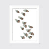 Acorns - Open Edition Paper Print - Liza Pruitt