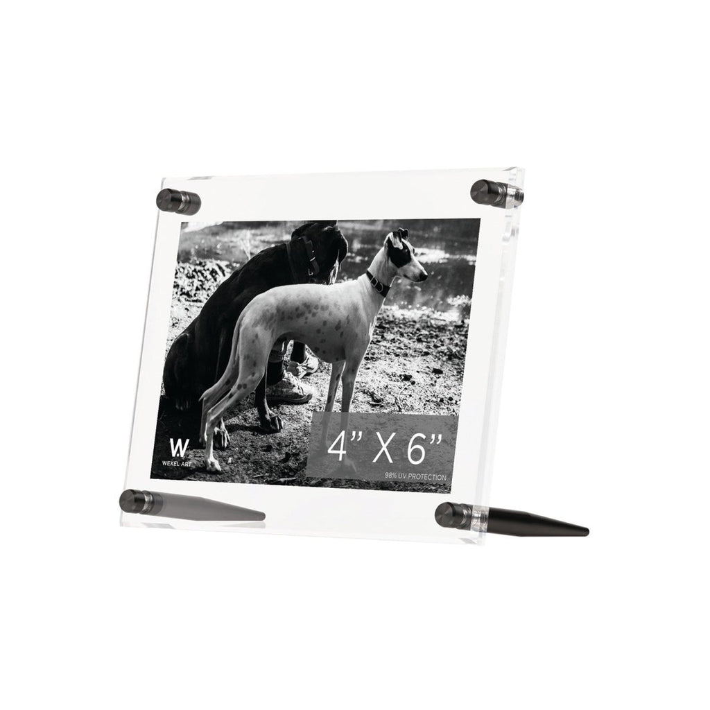 Acrylic Bevel Tabletop Float Frame for 4x6" Photos - Liza Pruitt