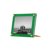 Acrylic Bevel Tabletop Float Frame for 8x10" photos - Liza Pruitt