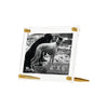 Acrylic Bevel Tabletop Float Frames - Liza Pruitt