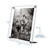 Acrylic Bevel Tabletop Float Frames - Liza Pruitt