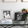 Acrylic Bevel Tabletop Float Frames - Liza Pruitt