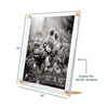 Acrylic Bevel Tabletop Float Frames - Liza Pruitt