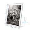 Acrylic Bevel Tabletop Float Frames - Liza Pruitt