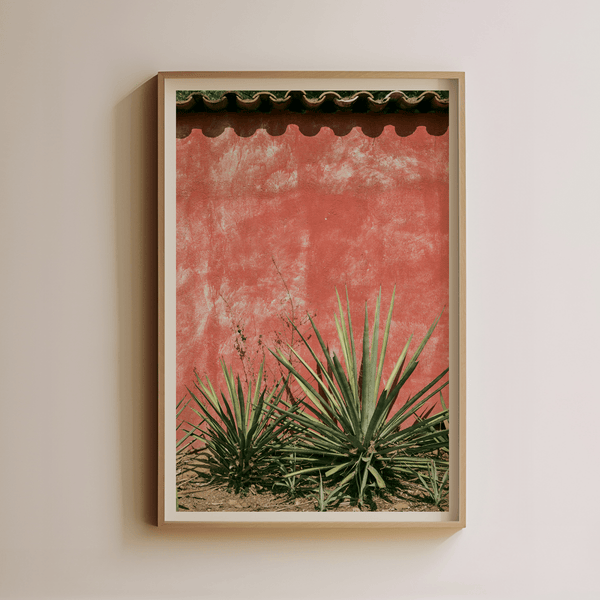 Agave Against Red Wall by Luis Martinez - Liza Pruitt