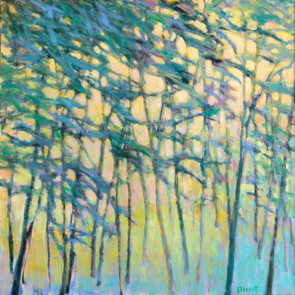 Air Through the Forest - Limited Edition Canvas Print - Liza Pruitt