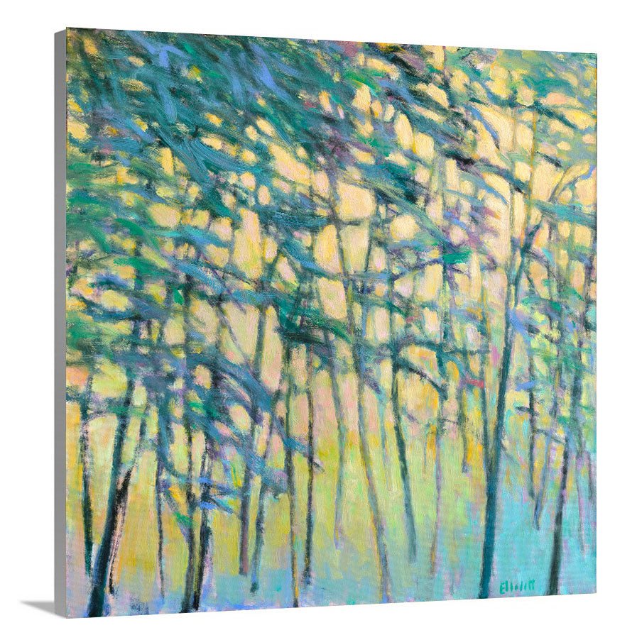 Air Through the Forest - Limited Edition Canvas Print - Liza Pruitt