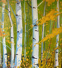 Aspen Shadows | 40" h x 36" w - Liza Pruitt