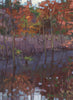 Aspetuck I - Open Edition Canvas Print - Liza Pruitt