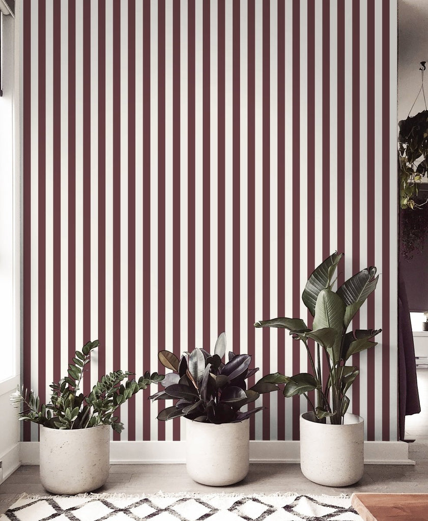 Atlas Wallpaper by Hufton Studio - Liza Pruitt