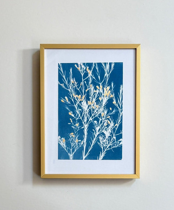 Baeckea with Gold | 12" h x 9" w | Framed - Liza Pruitt