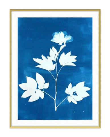 Beautiful Peony | 24" h x 18" w - Liza Pruitt