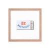Beetlecat Framed Print - Liza Pruitt