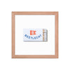 Beetlecat Framed Print - Liza Pruitt