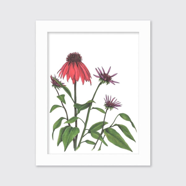 Big Red - Open Edition Paper Print - Liza Pruitt