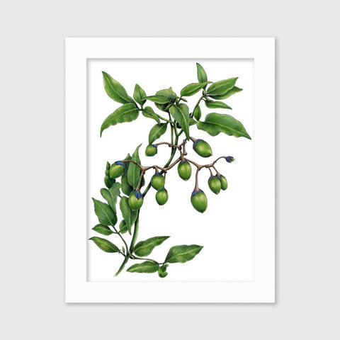 Bittersweet - Open Edition Paper Print - Liza Pruitt