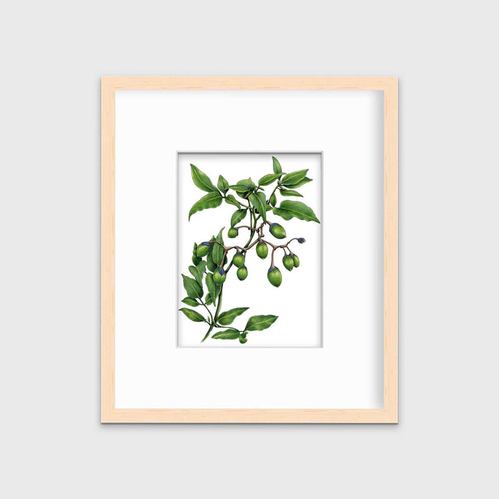 Bittersweet - Open Edition Paper Print - Liza Pruitt