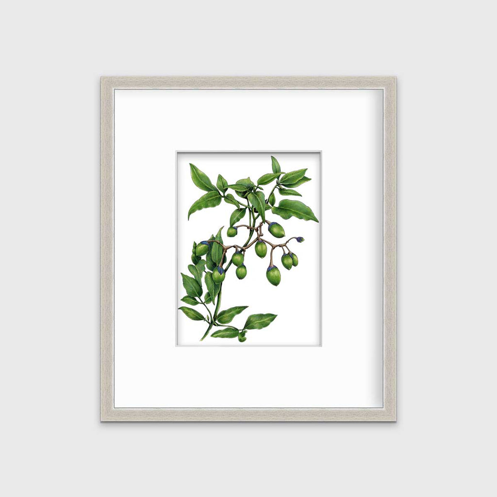 Bittersweet - Open Edition Paper Print - Liza Pruitt