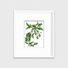 Bittersweet - Open Edition Paper Print - Liza Pruitt