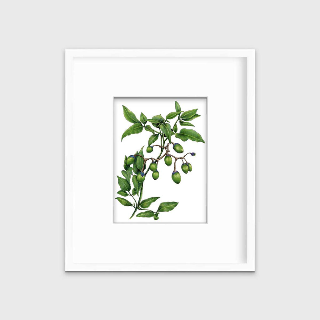 Bittersweet - Open Edition Paper Print - Liza Pruitt