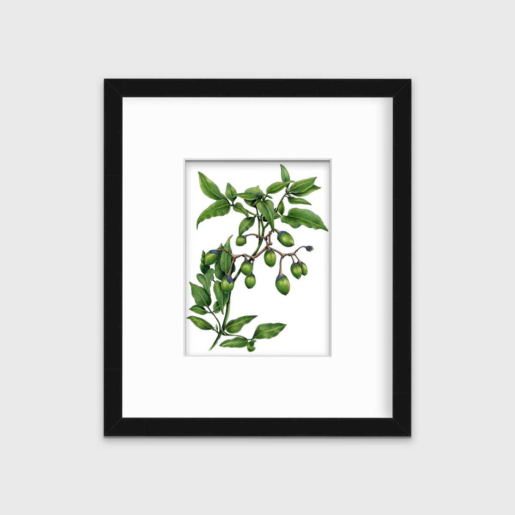 Bittersweet - Open Edition Paper Print - Liza Pruitt
