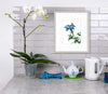 Blue - Open Edition Paper Print - Liza Pruitt