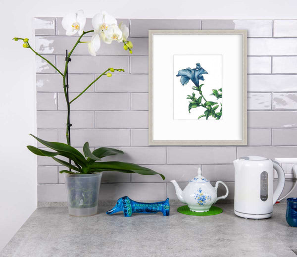 Blue - Open Edition Paper Print - Liza Pruitt