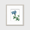 Blue - Open Edition Paper Print - Liza Pruitt
